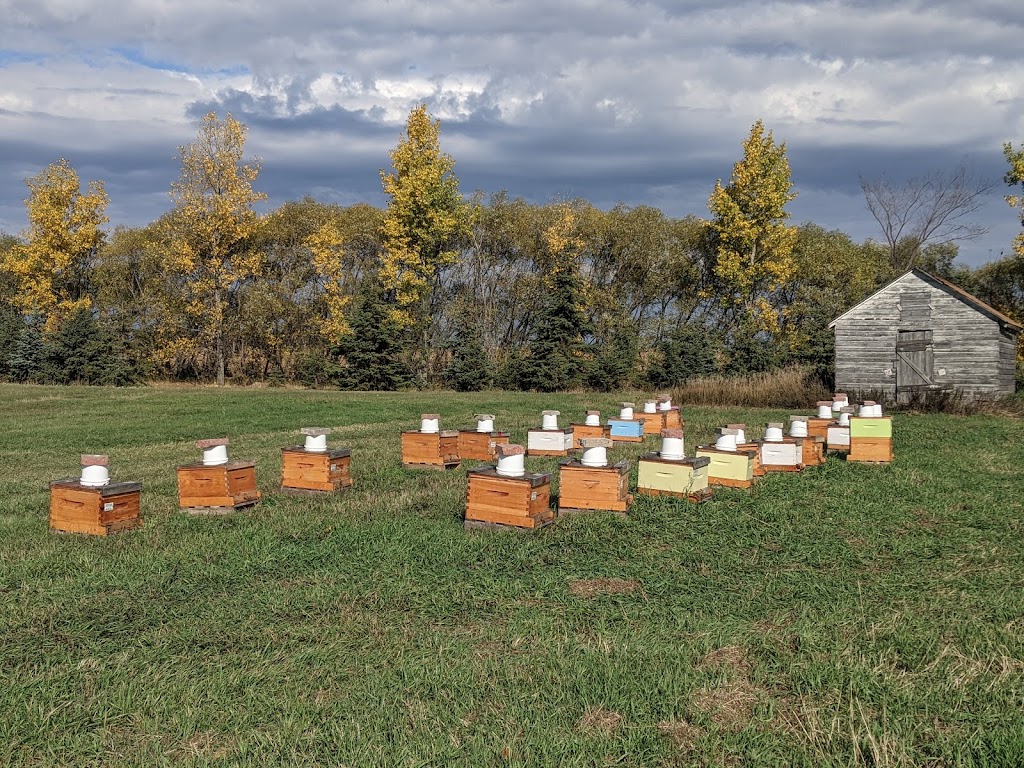 Lees Bees Honey | 52158 MUN 33 E, Rosewood, MB R5K 0H9, Canada | Phone: (204) 557-4177