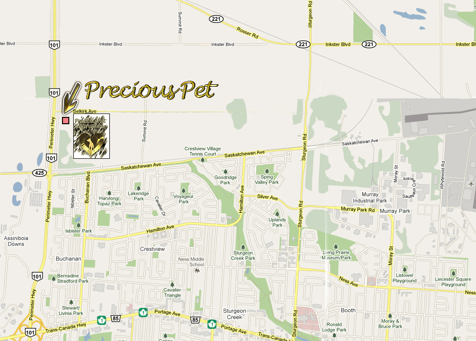 Precious Pet Cremation | Intersection of Perimeter hwy 101 North and Selkirk Rd, Winnipeg, MB R3K 2E7, Canada | Phone: (204) 633-6088