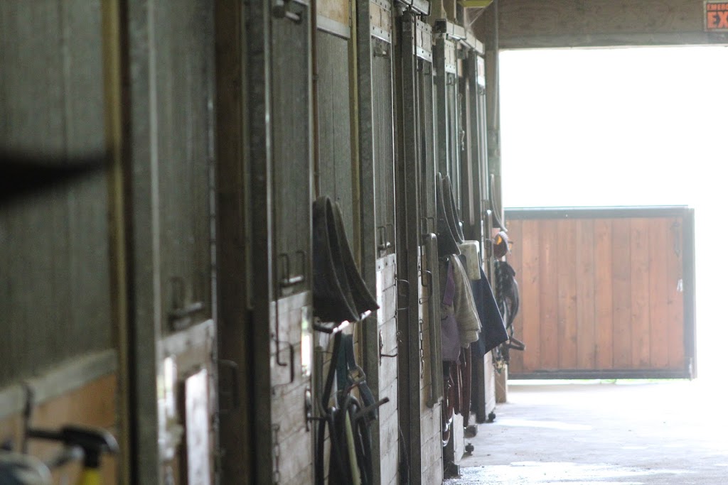 Empire Equestrian | 1267 Haldimand County Hwy 56, York, ON N0A 1R0, Canada | Phone: (905) 973-7611