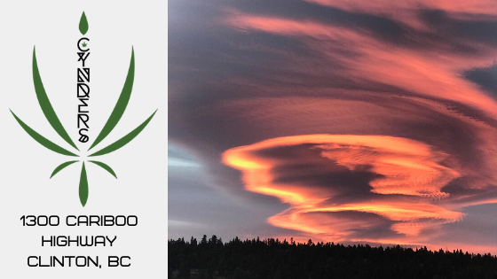 Cynders Inc | 1300 Cariboo Hwy, Clinton, BC V0K 1K0, Canada | Phone: (250) 459-2006