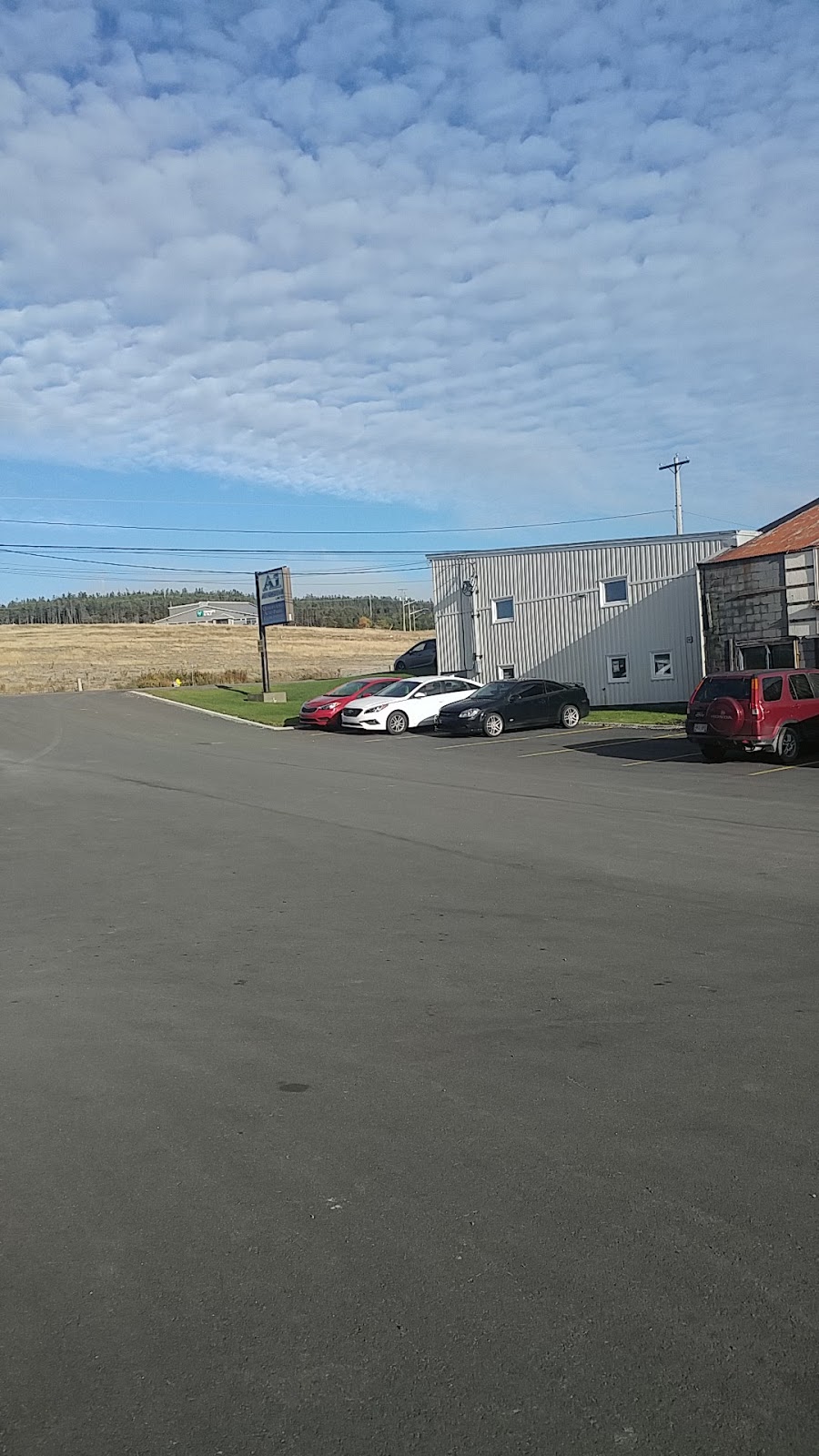 A1 Automotive Limited 395 E White Hills Rd, St. John's, NL A1A 5X7