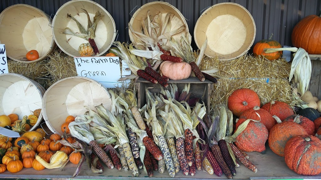 Myers Apple Farm | 37 Hamilton Regional Rd 52, Hamilton, ON L0R, Canada | Phone: (905) 627-0420