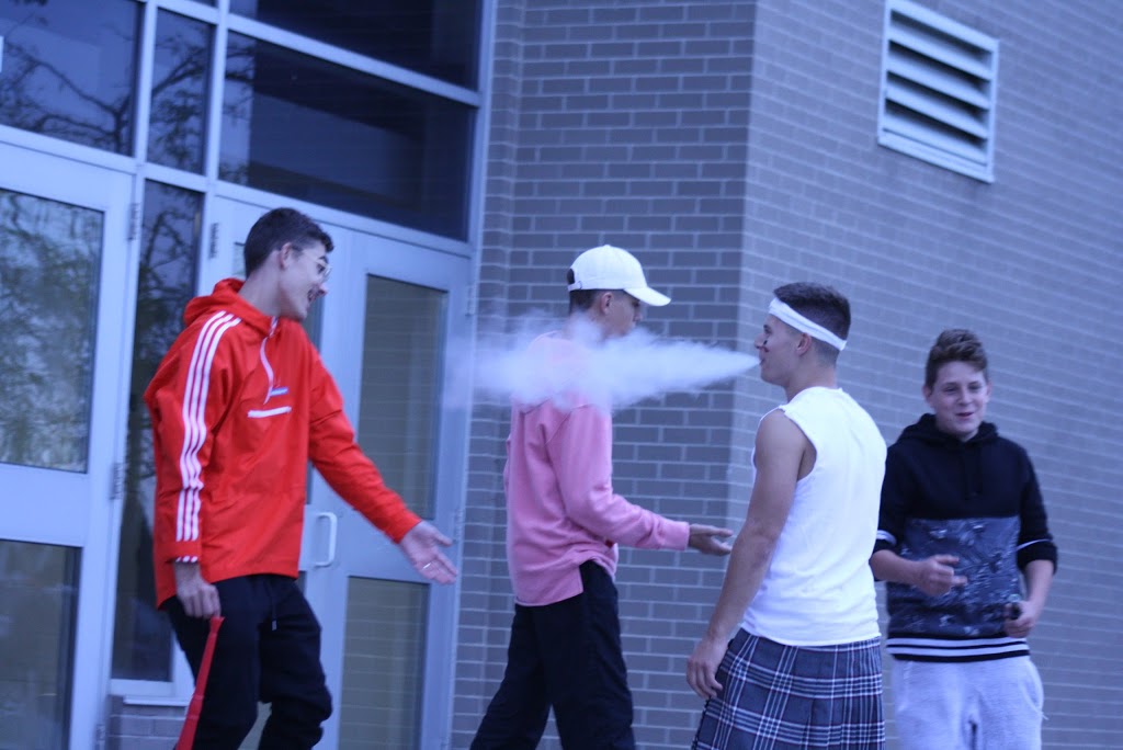 Bishop Tonnos Secondary School | 100 Panabaker Dr, Ancaster, ON L9G 5E3, Canada | Phone: (905) 523-2331