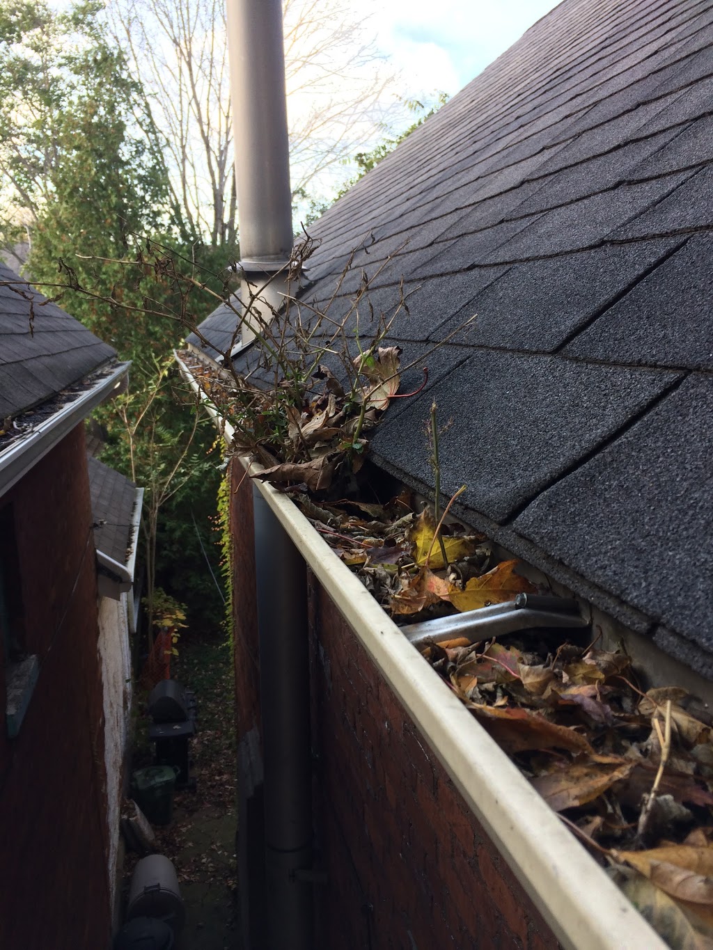 Dylan the Window Cleaner | 40 Garners Ln, Brantford, ON N3T 6P5, Canada | Phone: (905) 966-0905