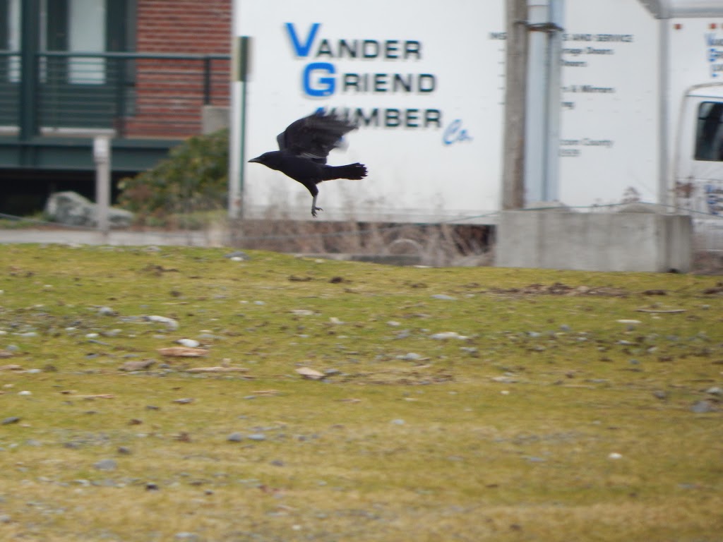 Vander Griend Lumber Co | 8461 Depot Rd, Lynden, WA 98264, USA | Phone: (360) 354-2155