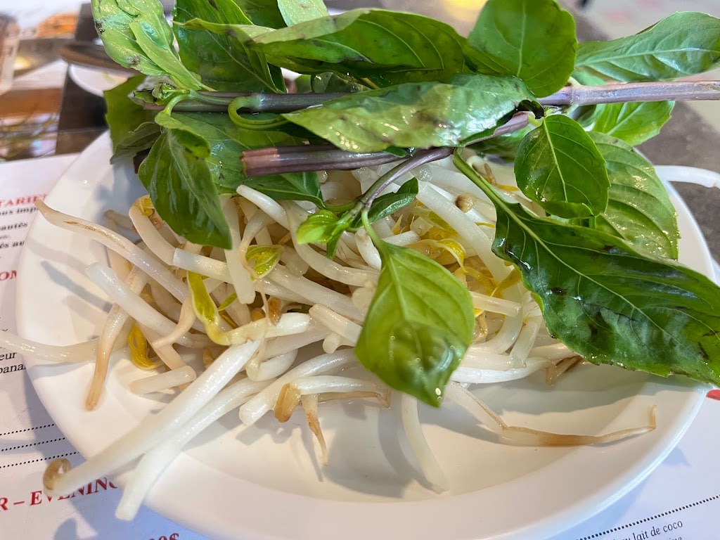 Pho Thanh Long | 103 Rue Sainte-Catherine E, Montréal, QC H2X 1K5, Canada | Phone: (514) 848-0521