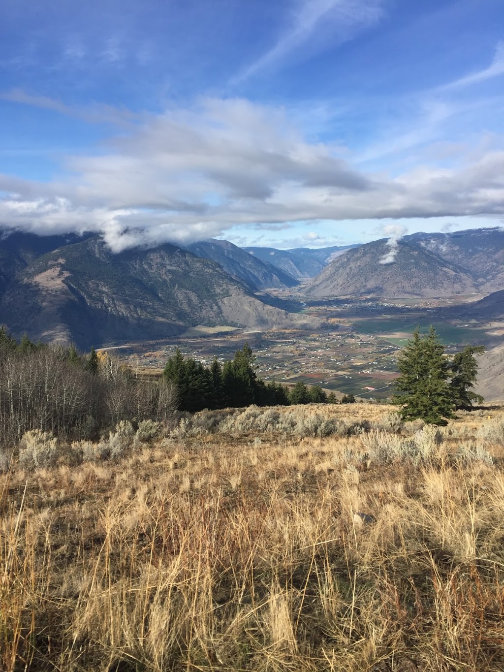 Vesper Transport Ltd | 2064 Main St, Cawston, BC V0X 1C1, Canada | Phone: (250) 499-5773