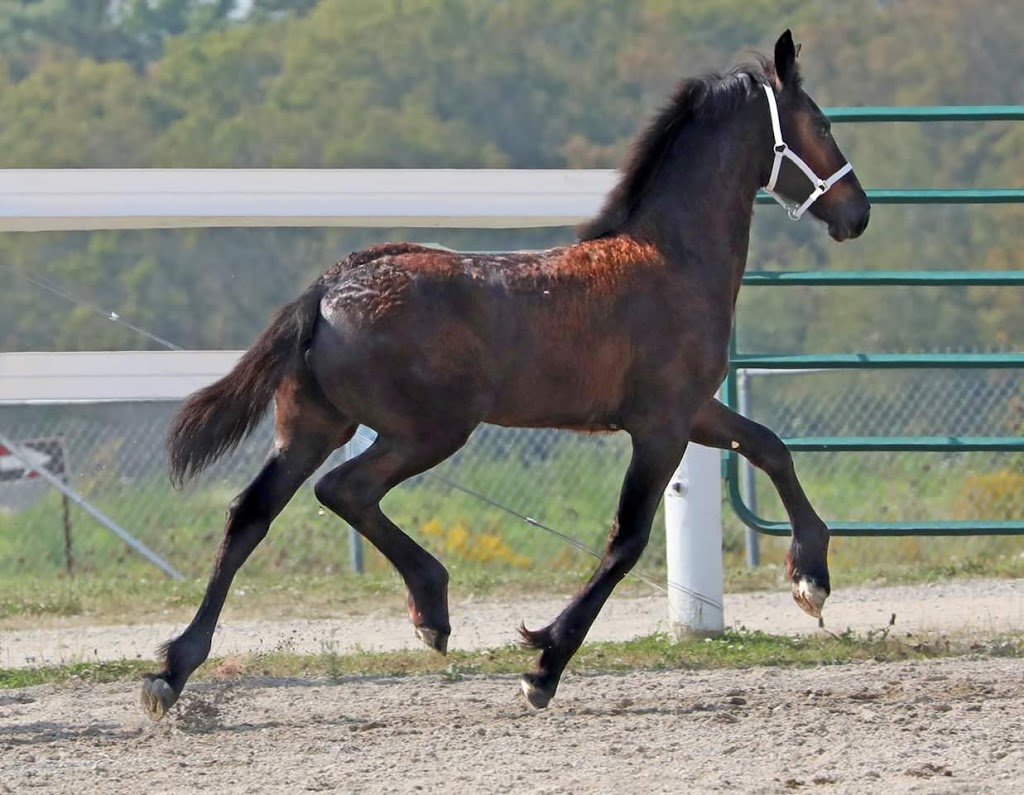 Kraak Farms | 344071 Ebenezer Rd, Mount Elgin, ON N0J 1N0, Canada | Phone: (519) 485-3568