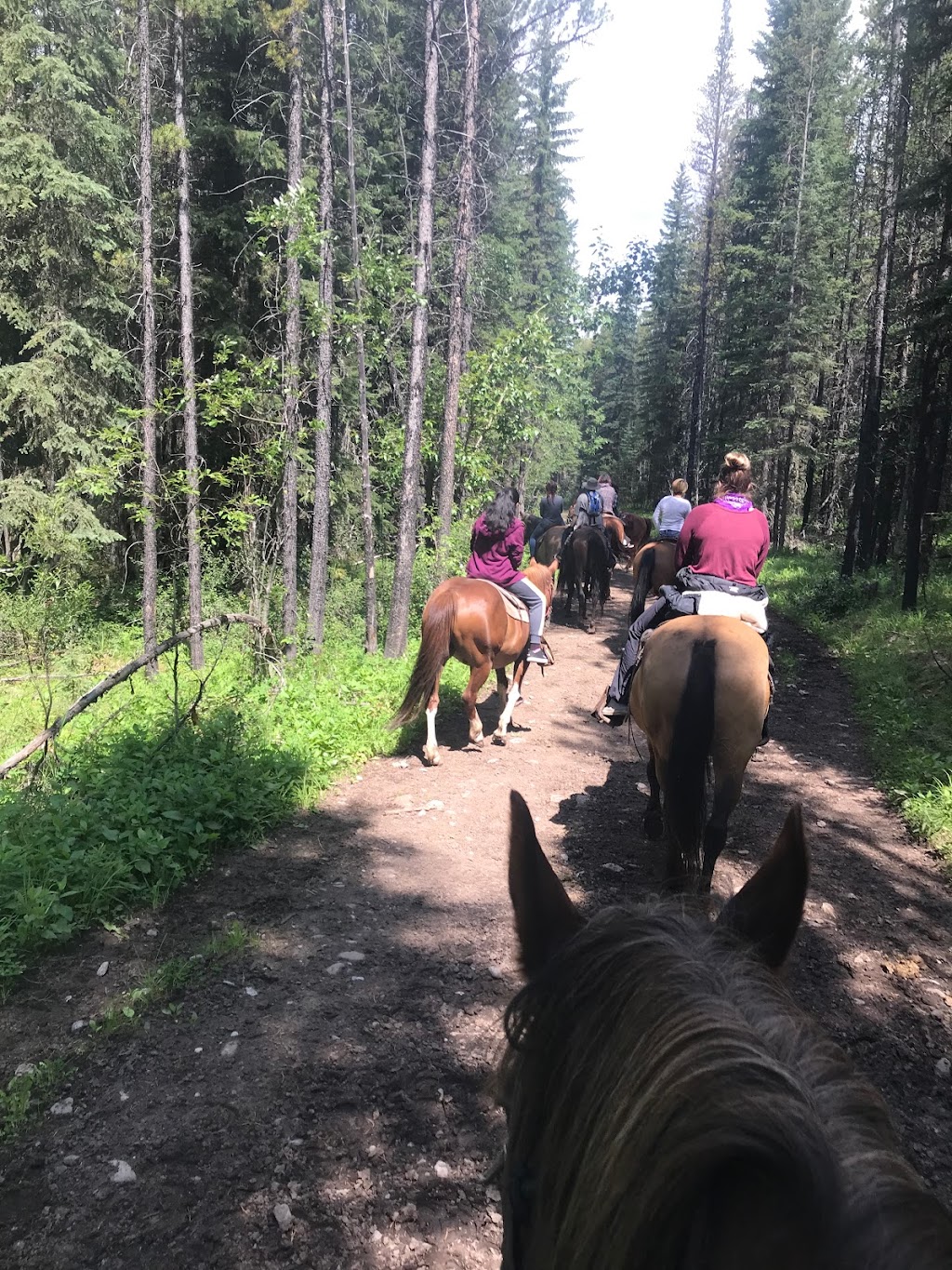 Nomad Travel | 4466 Stalashen Dr, Sechelt, BC V0N 3A1, Canada | Phone: (778) 822-1120