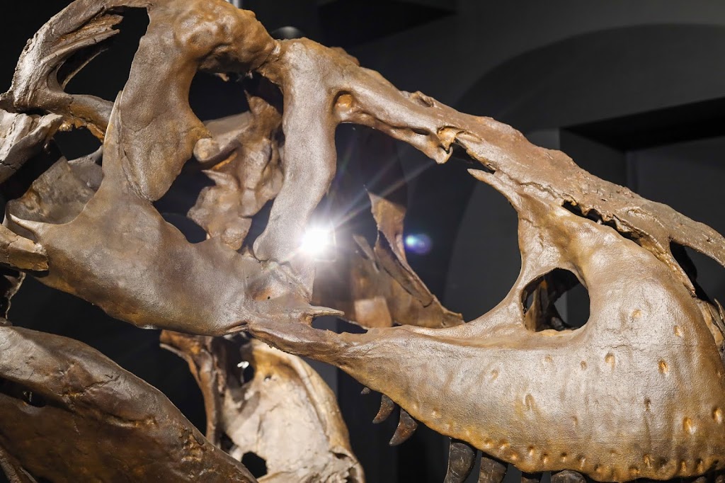 Dino Lab Inc. | 491 Dupplin Rd #2, Victoria, BC V8Z 1B8, Canada | Phone: (778) 966-3466