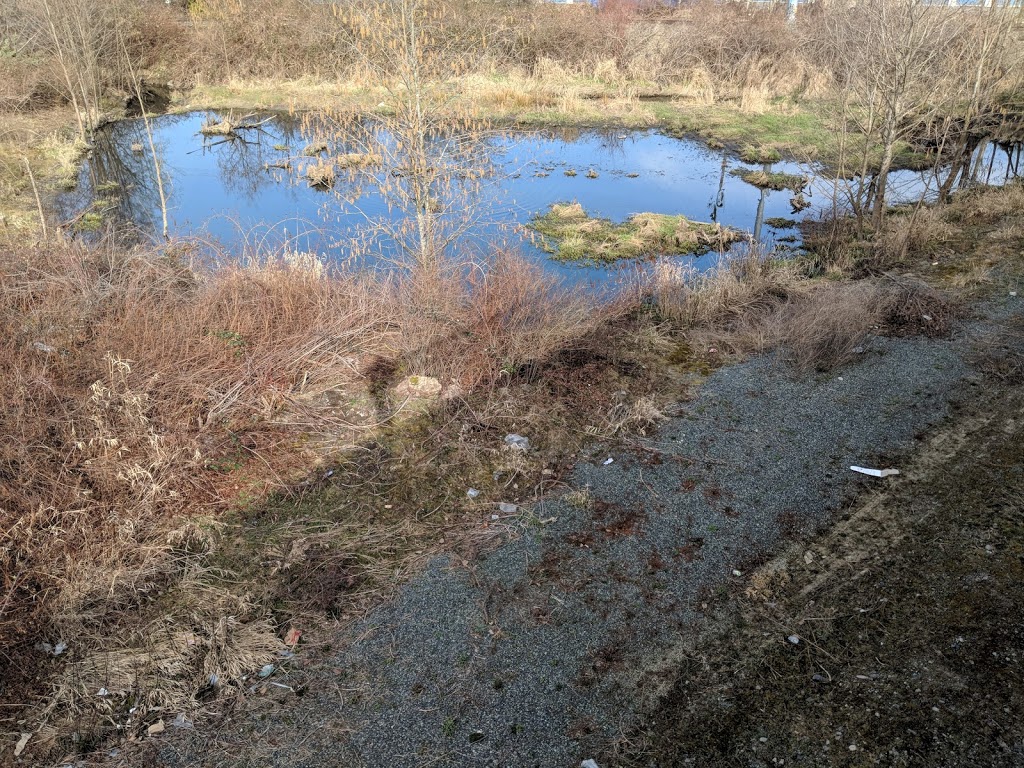 Little Denton Pond | 3063 Landmark Way, Surrey, BC V3S 7R2, Canada