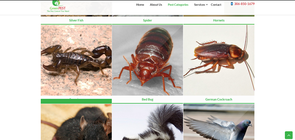 GreenPEST | 662 Hargreaves Ln, Saskatoon, SK S7R 0G6, Canada | Phone: (306) 850-1679