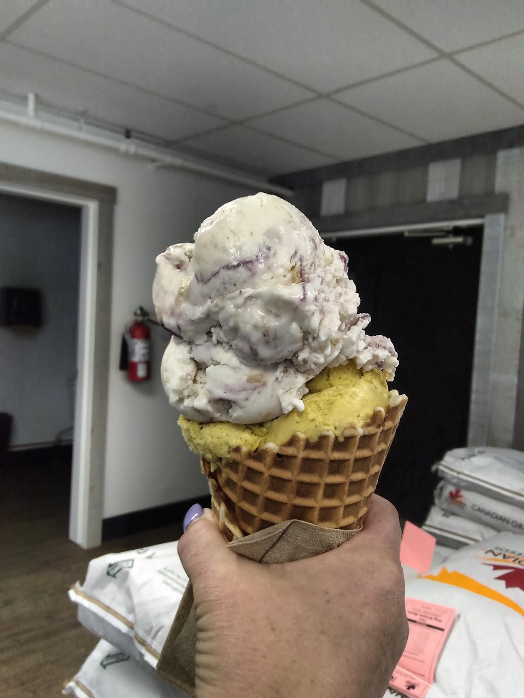 Kents Ice Cream Co | 47582 Yale Rd, Chilliwack, BC V2P 7N1, Canada