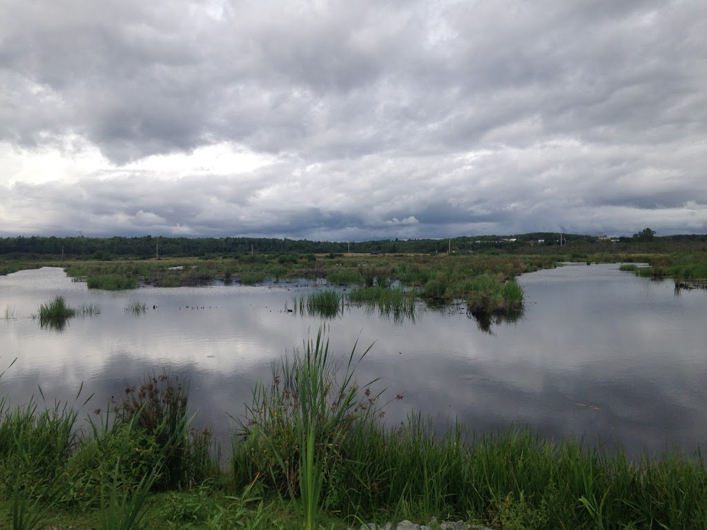 Brookfield Wetland & Nature Trail | Brookfield Wetlands Trail, Brookfield, NS B0N 1C0, Canada
