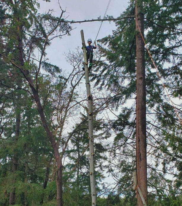 Hemlock Tree Service | 2919 Hemlock Dr, Nanoose Bay, BC V9P 9G2, Canada | Phone: (250) 321-2515