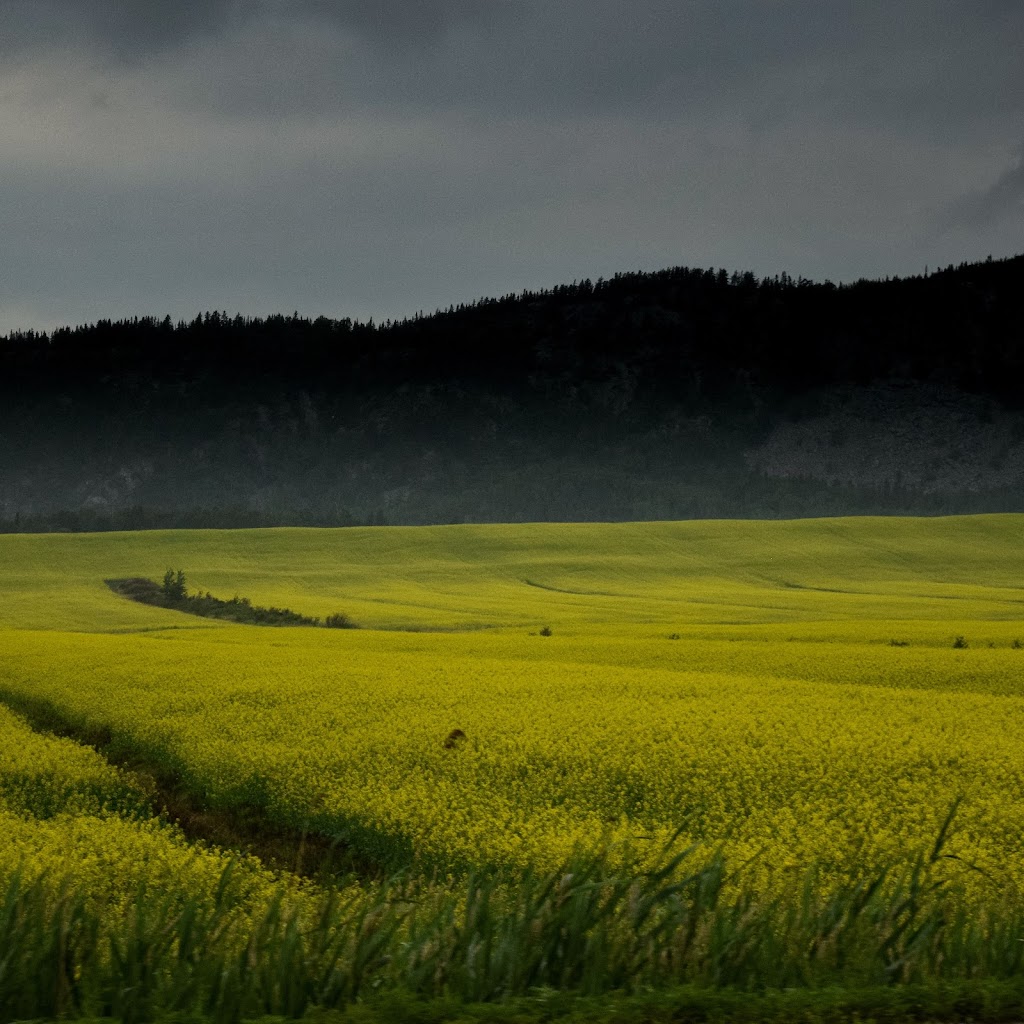 Municipalité de Kamouraska | 67 Av. Morel, Kamouraska, QC G0L 1M0, Canada | Phone: (418) 492-6523