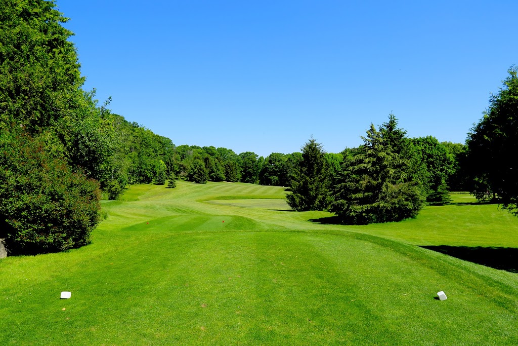 Twin Streams Golf Course | 3481 Carriage Rd, Delaware, ON N0L 1E0, Canada | Phone: (519) 652-5211