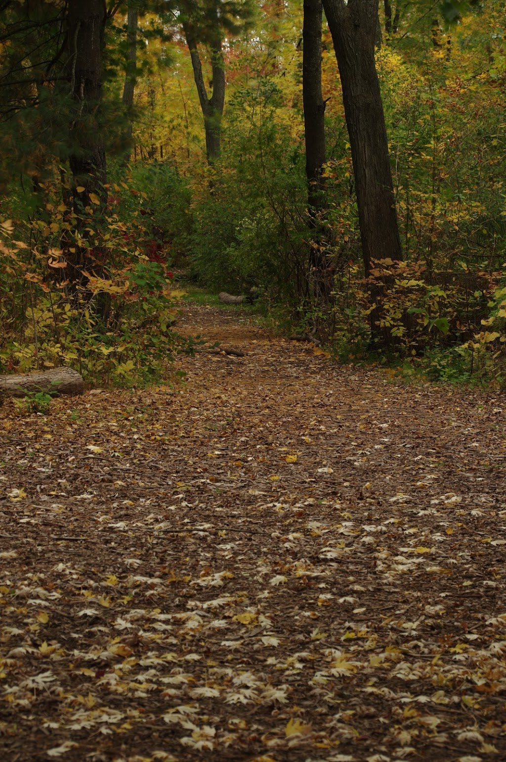 Centennial Forest Park | Milton, ON L9T 5X3, Canada