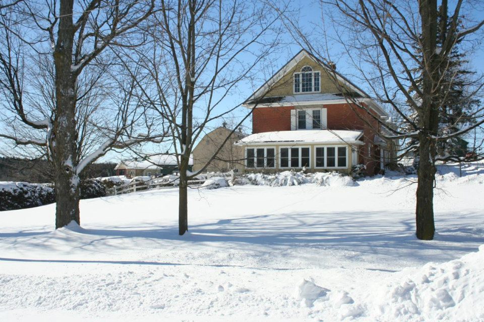 Silver Fox Farm | 873096 5 Line E, Mono, ON L9W 6A4, Canada | Phone: (647) 203-8348
