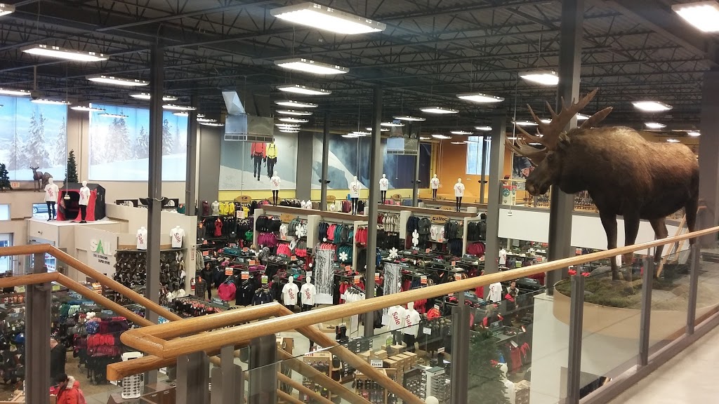 SAIL | 2208 Industrial St, Burlington, ON L7P 0N6, Canada | Phone: (905) 592-0722