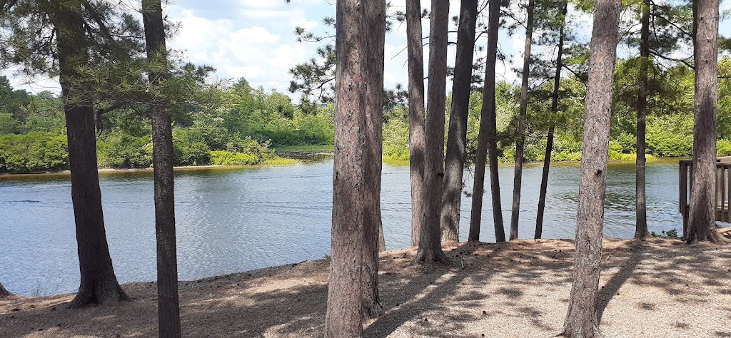 Pine Cliff Resort | 10 Allingham Ln, Combermere, ON K0J 1L0, Canada | Phone: (613) 756-3014