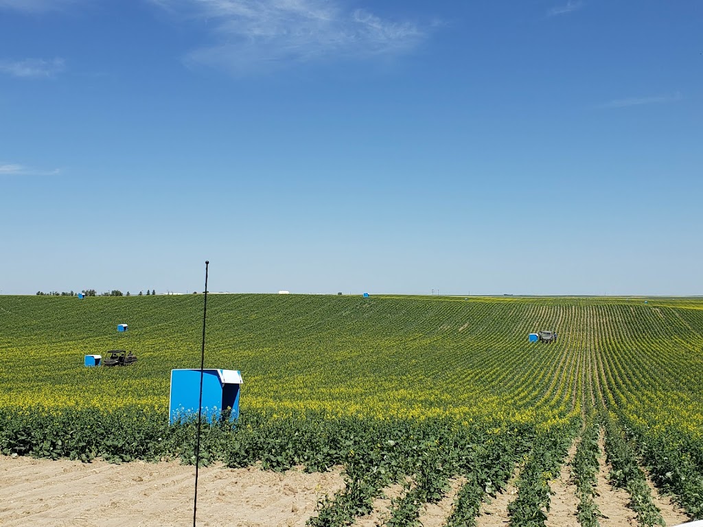 TNT Pollination | 134036, Township Rd 110, Grassy Lake, AB T0K 0Z0, Canada | Phone: (403) 360-2528