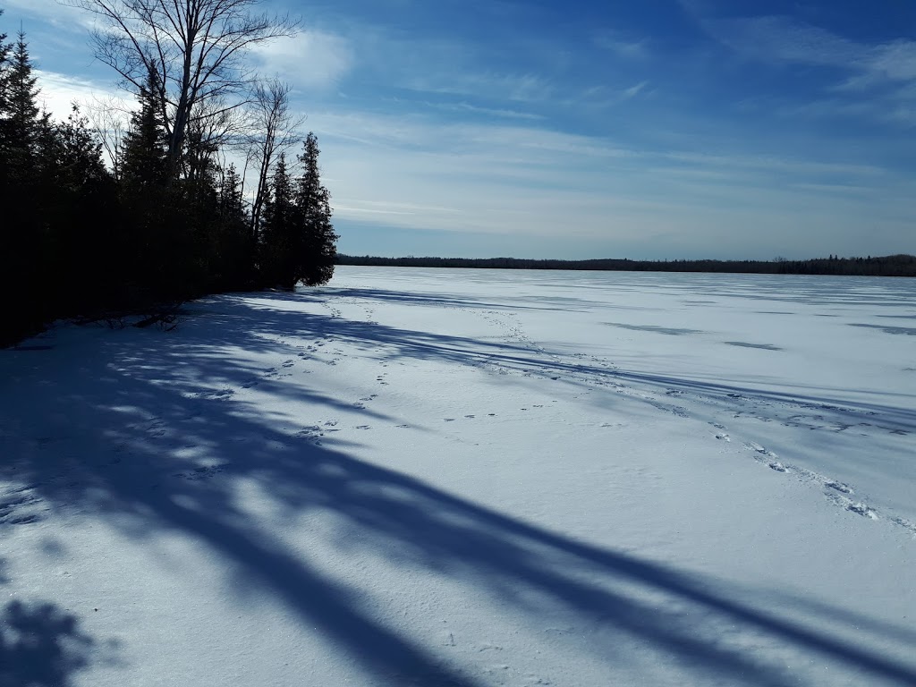 Menzel Centennial Provincial Nature Reserve | Roblin, ON K0K 2W0, Canada | Phone: (613) 335-2814