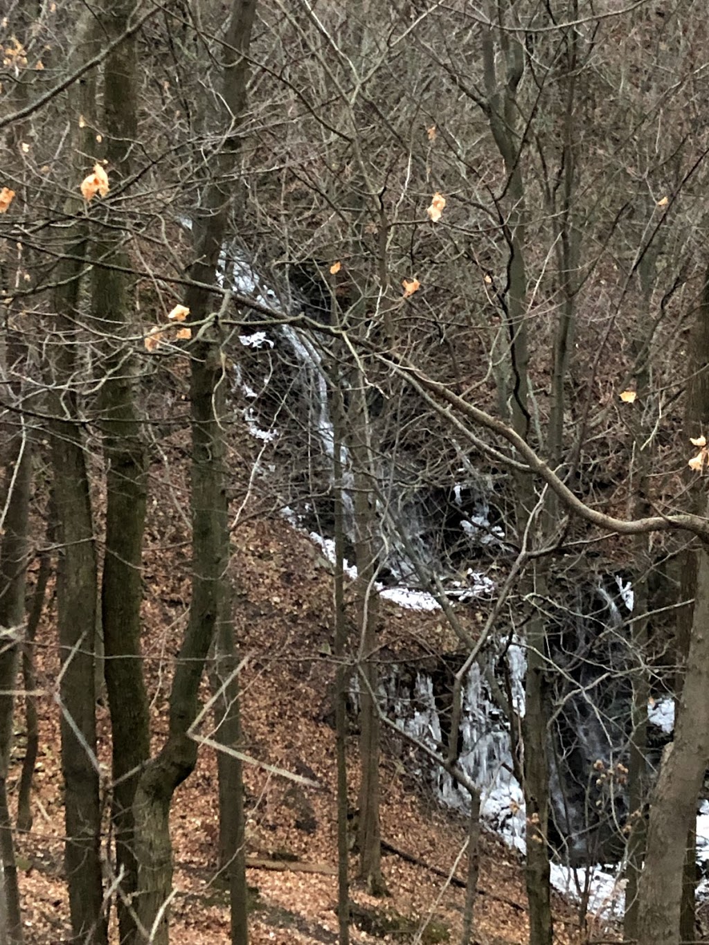 Scenic Waterfall | Ainslie Wood West, Hamilton, ON L9K 1J6, Canada | Phone: (416) 522-0994