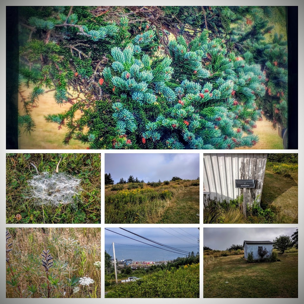 Harbourville Community Hall | 2564 NS-360, Berwick, NS B0P 1E0, Canada | Phone: (902) 538-7098
