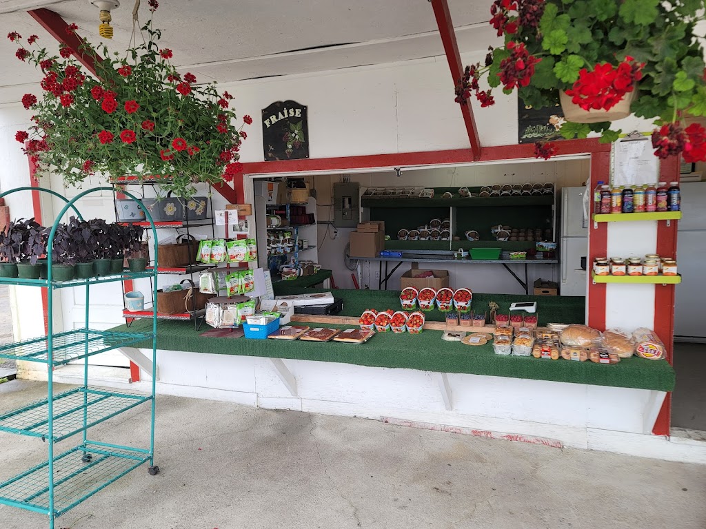 Aux Fruits du Soleil - Kiosque Fruits et Légumes | 244 QC-341, Saint-Jacques, QC J0K 2R0, Canada | Phone: (450) 839-9107