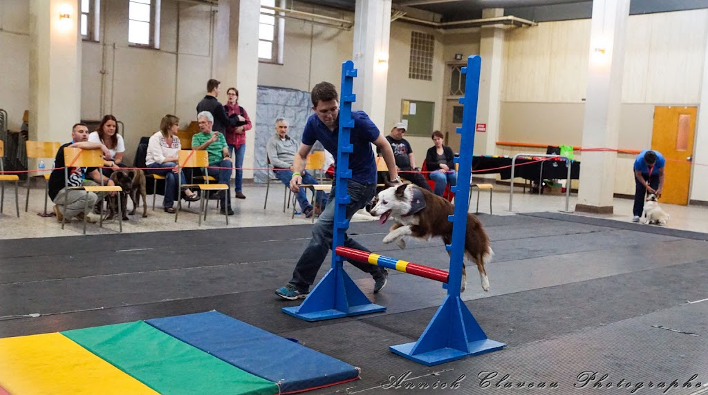 Centre Sportif Canin Enr- Les 4 Pattes en Folies | 555 1re Av., Québec, QC G1L 3J6, Canada | Phone: (418) 524-1959