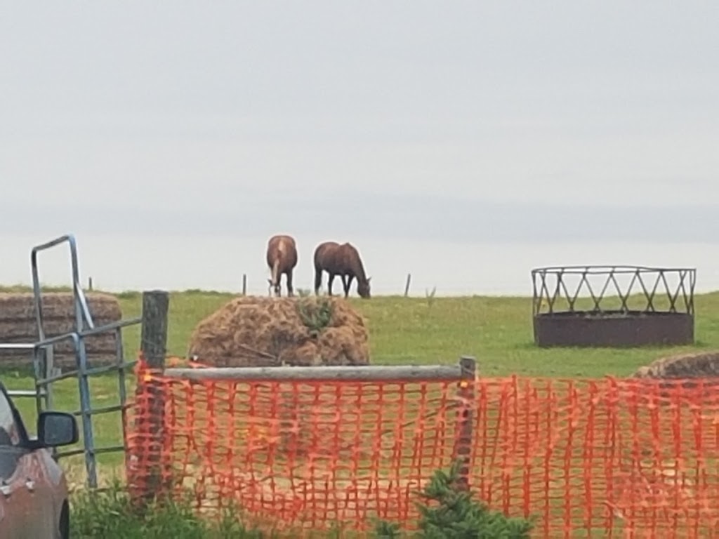 Paws Claws N Tails Kennel | Baildon Farm Road, MAIL TO: P.O.B. 691 BUSHELL PARK,, Baildon, SK S0H 0N0, Canada | Phone: (306) 693-0310