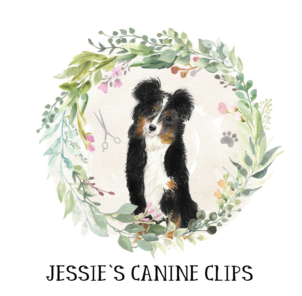 Jessies Canine Clips | point of interest | 80 Woodland Dr, Midland, ON L4R 4E1, Canada | 7055431835 OR +1 705-543-1835