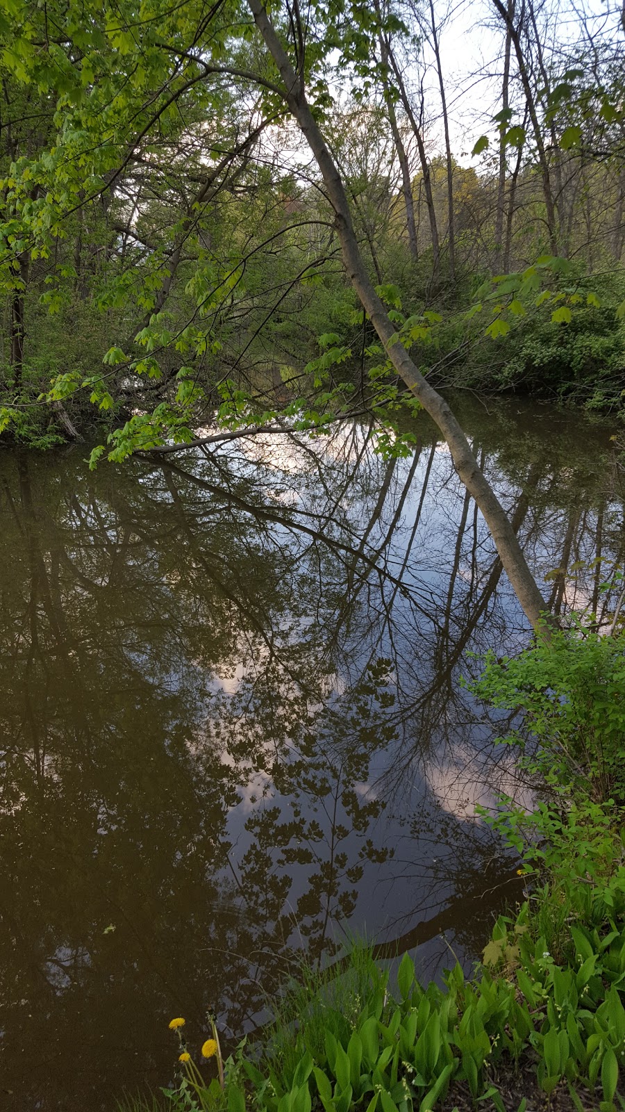 Arkendo Park | 2494 Lakeshore Rd E, Oakville, ON L6J 7Y6, Canada