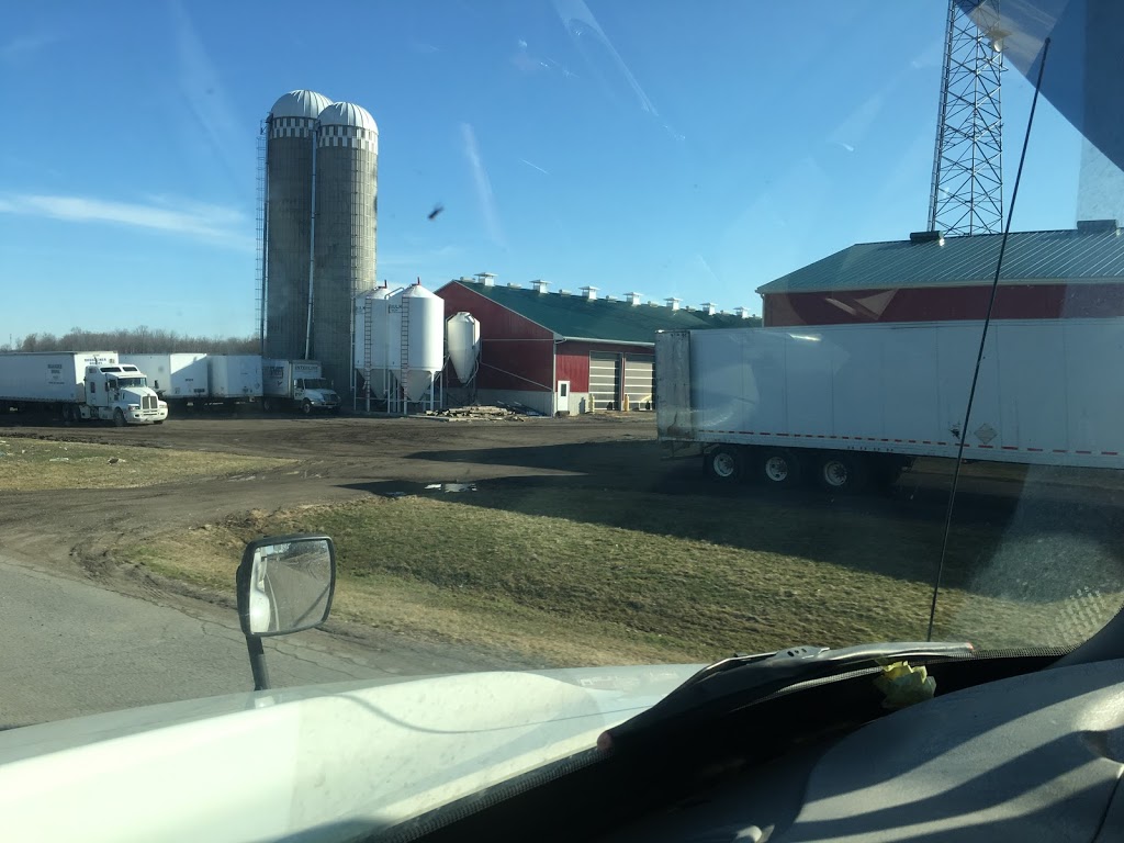 Brubacher Drums | 855 Arthur St S, Elmira, ON N3B 2Z2, Canada | Phone: (519) 664-2958