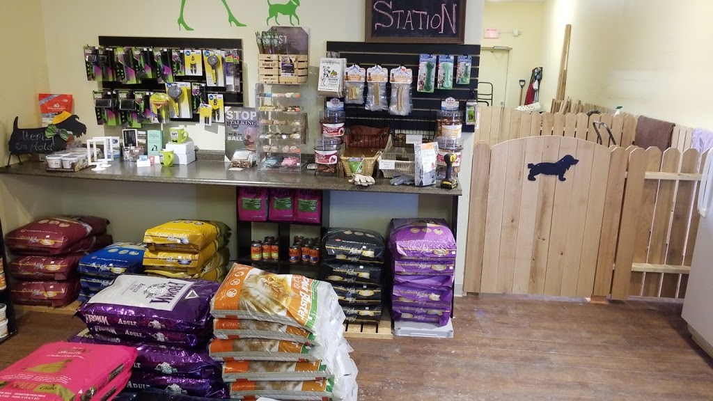 The Healthy Dog Store | 17 Queen St N, Tottenham, ON L0G 1W0, Canada | Phone: (905) 406-3647