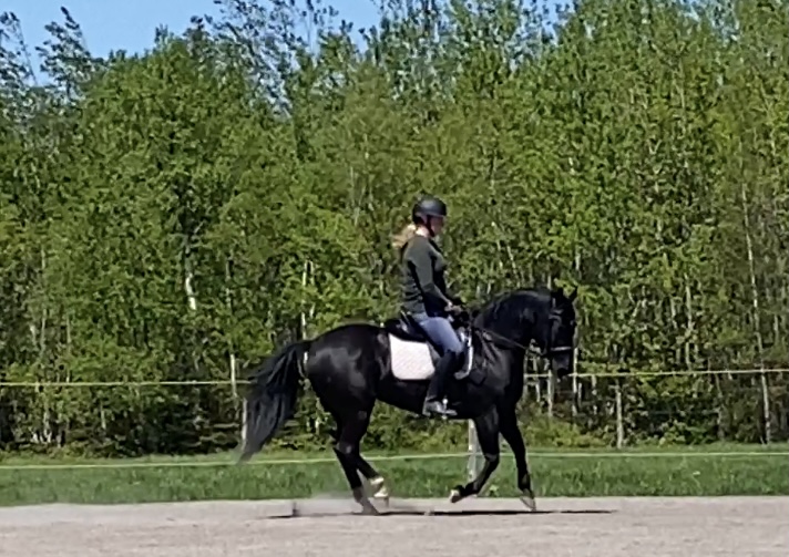 Howling Creek Farm | 70 NB-940 #1630, Centre Village, NB E4L 1Y6, Canada | Phone: (506) 871-0454