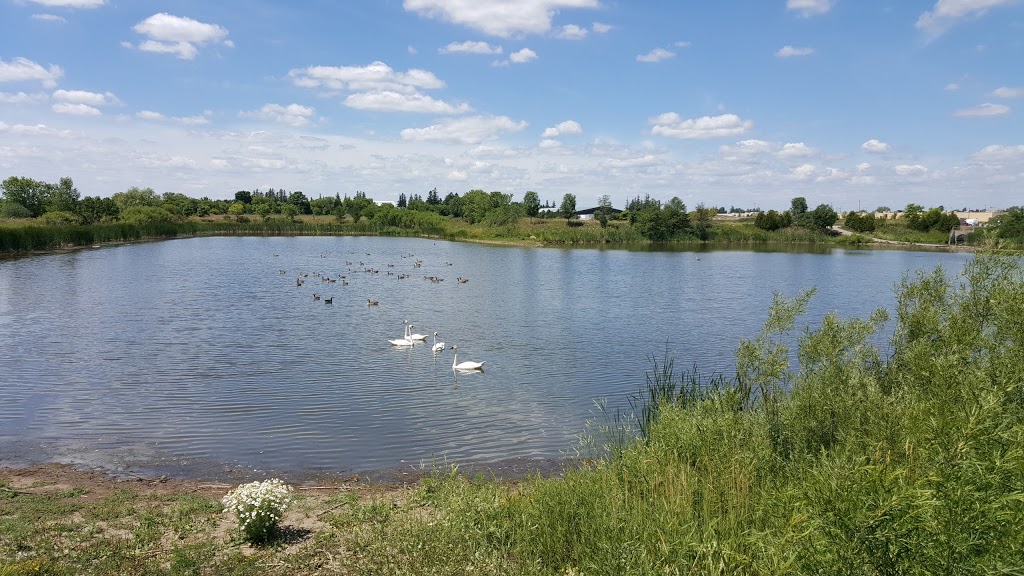 Rougeview Dog Park | 300 Rougeview Ave, Whitchurch-Stouffville, ON L4A 0G5, Canada