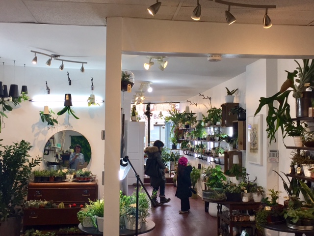 Stamen and Pistil Botanicals | 1567 Dundas St W, Toronto, ON M6K 1T9, Canada | Phone: (647) 351-9099