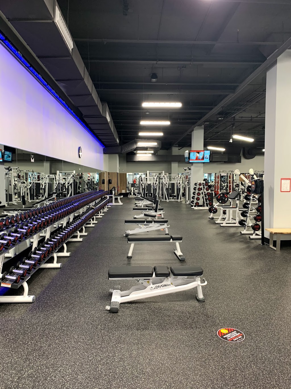 GoodLife Fitness Oakville Place Gym | 240 Leighland Ave #247, Oakville, ON L6H 3H6, Canada | Phone: (905) 815-8985