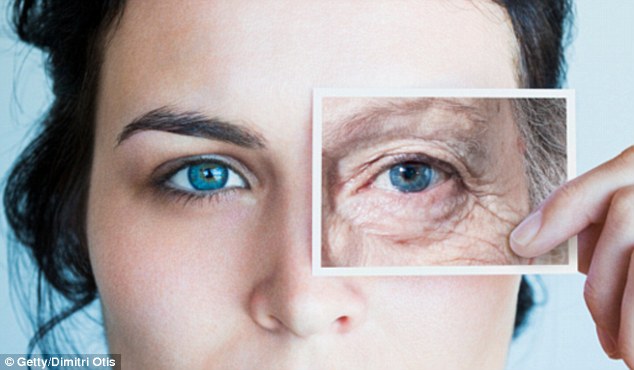 Lasting Touch Skincare Electrolysis & Day Spa | 310 Albert Ave N, Listowel, ON N4W 1T9, Canada | Phone: (519) 291-4444