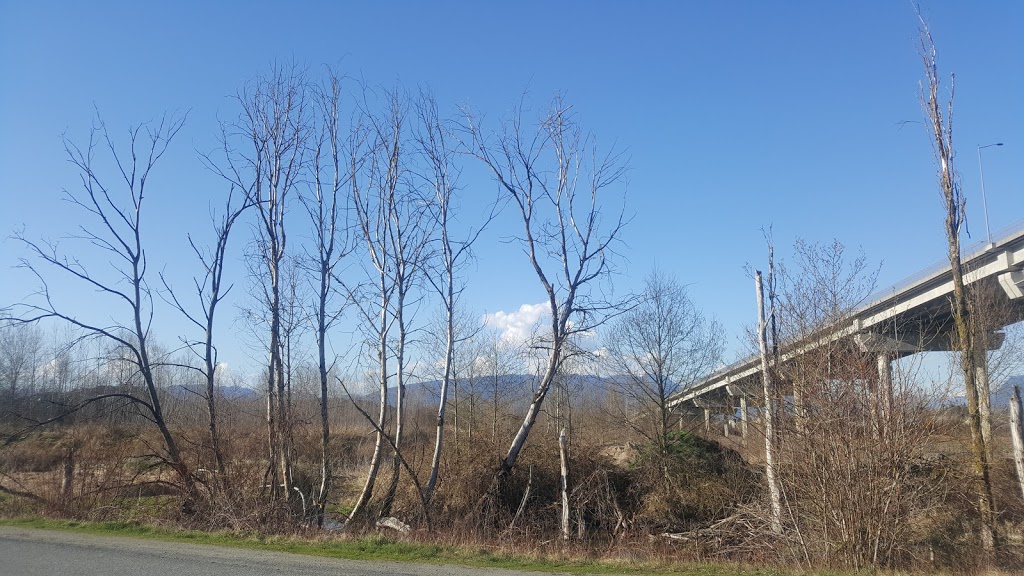 Hammond Dog Park | 20015 Wharf St, Maple Ridge, BC BC V2X 1A1, Canada | Phone: (604) 467-7346