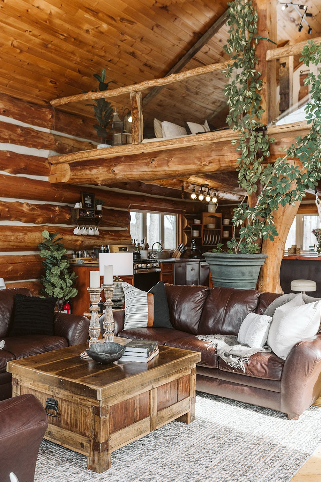 Hemlock Treehouse | 4107 County Rd 507, Gooderham, ON K0M 1R0, Canada | Phone: (289) 795-7700