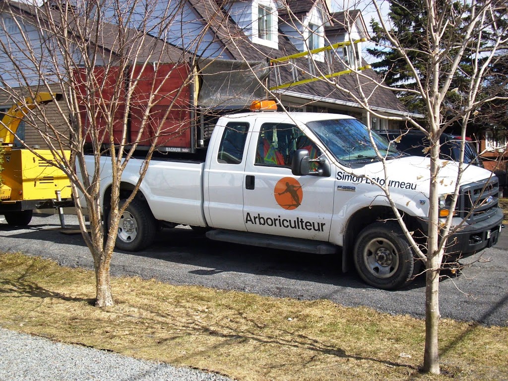 Simon Létourneau Arboriculteur | 229 Rue Taillon O, Saint-Basile-le-Grand, QC J3N 1E5, Canada | Phone: (450) 653-0238