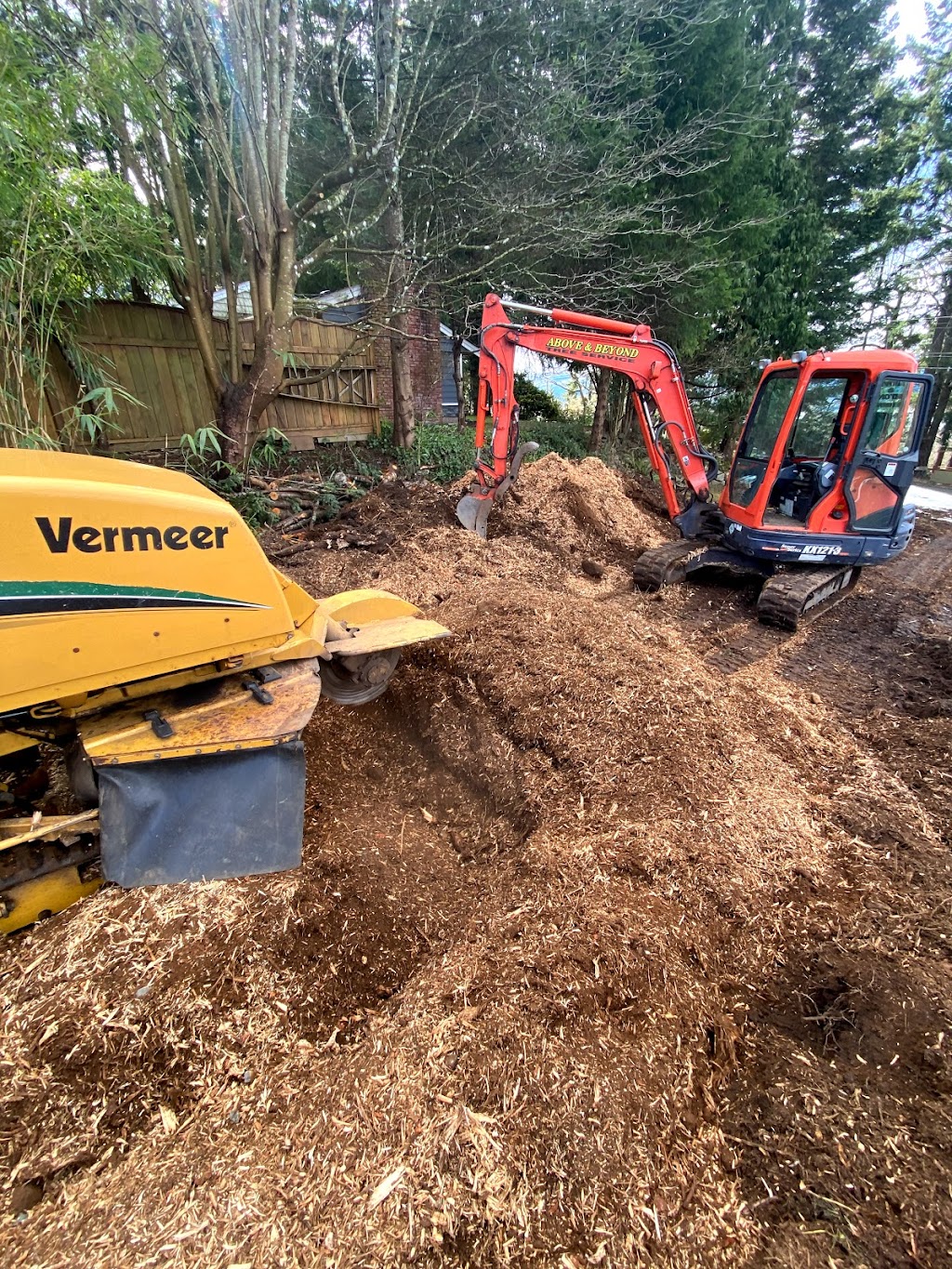 Above & Beyond Tree Service | 2234 Robb Ave, Comox, BC V9M 1J8, Canada | Phone: (250) 465-1993