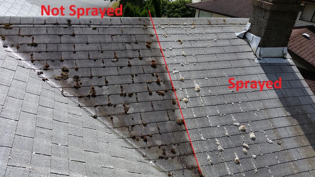 McMartin Roofing | 12470 57a Ave, Surrey, BC V3X 2S6, Canada | Phone: (604) 592-0130