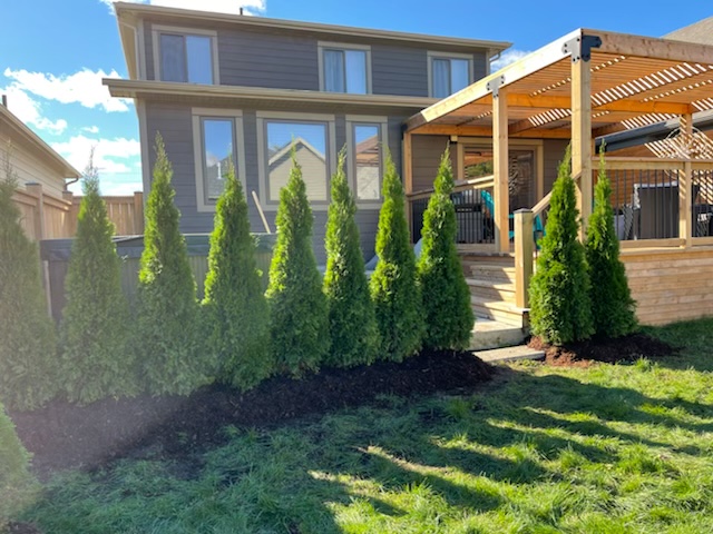 Little Creek Tree Farm | 20021 Heritage Rd, Thorndale, ON N0M 2P0, Canada | Phone: (519) 671-8733