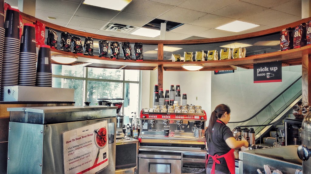 Aroma | 4 Eireann Quay, Toronto, ON M5V 1A1, Canada | Phone: (416) 553-7119