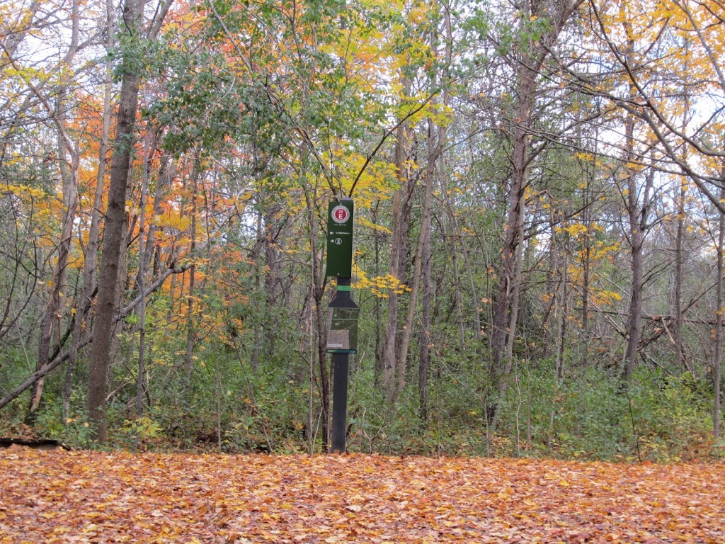 NCC Greenbelt P5 | NCC 23, Ottawa, ON K2M 1A9, Canada