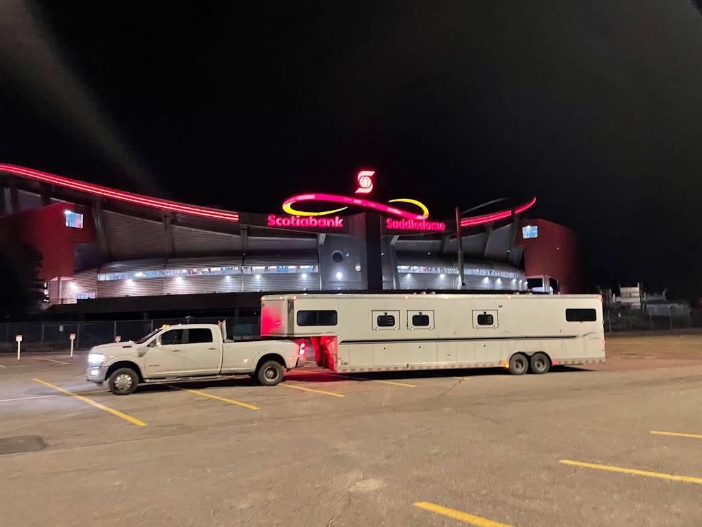 Ridgeview stables and Hauling | 11860 Ladner Trunk Rd, Delta, BC V4E 1A6, Canada | Phone: (778) 837-3038